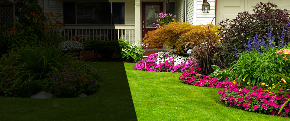 Sandersville Landscapers
