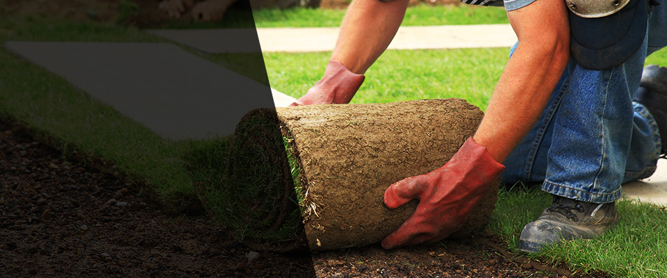 Sandersville Landscapers